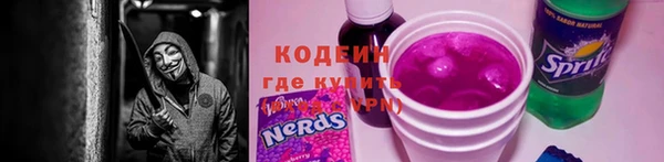 прущие грибы Богородицк