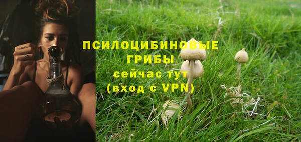 стафф Белокуриха