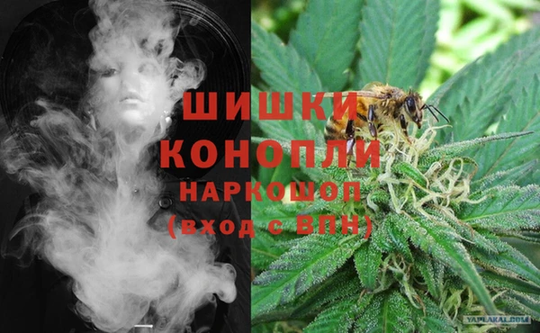 прущие грибы Богородицк