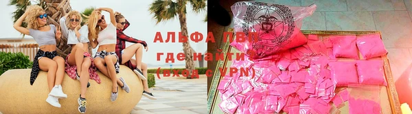 сатива Белоозёрский