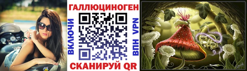 мега ТОР  Коммунар  Галлюциногенные грибы Cubensis 