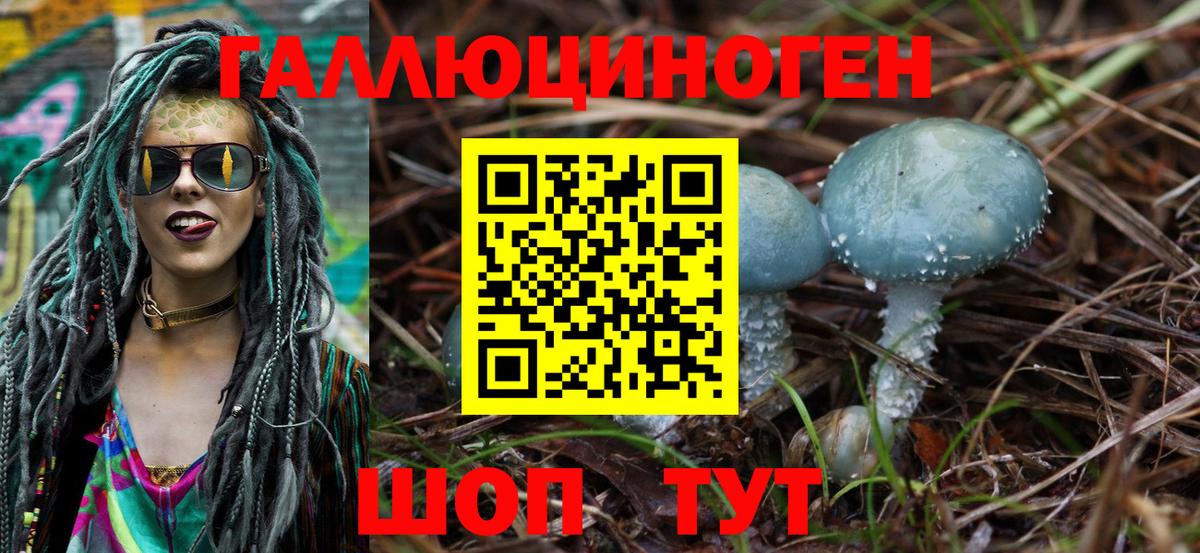 Галлюциногенные грибы GOLDEN TEACHER  Вход с VPN  Псилоцибиновые грибы ЛСД  Коммунар 