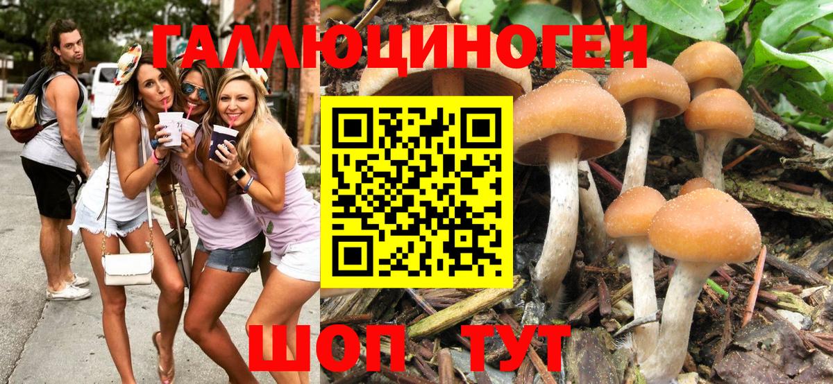 Псилоцибиновые грибы MAGIC MUSHROOMS Коммунар