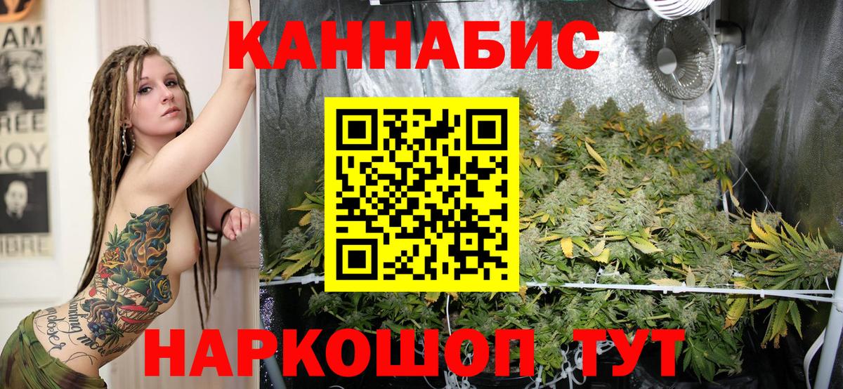 Марихуана планчик  Канабис гибрид  Вход с VPN  Коммунар  МАРИХУАНА семена 